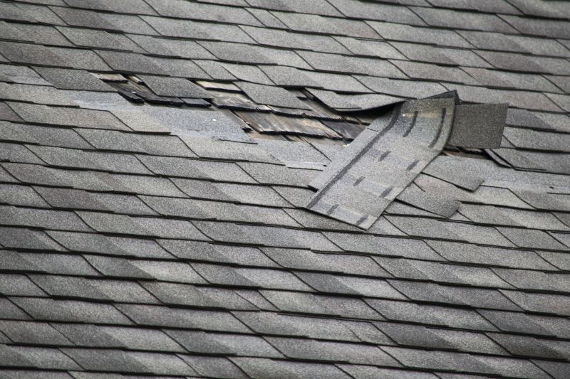 Weather Damage Restoration