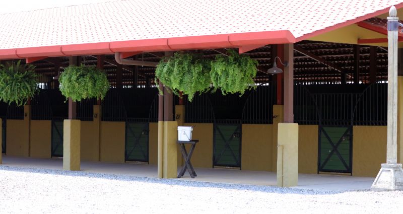 Horse Stable Roof Installation